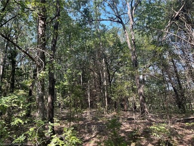 Have you been looking for a remote property with NO neighbors? - photo 2