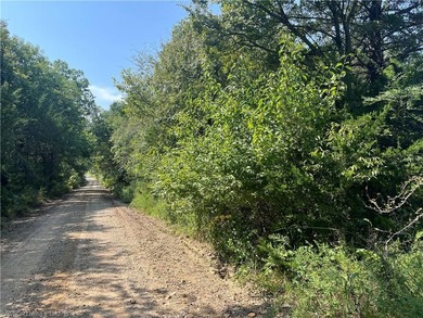 Have you been looking for a remote property with NO neighbors? - photo 3
