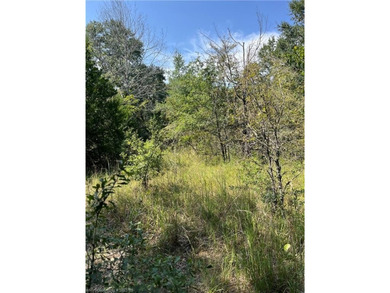 Have you been looking for a remote property with NO neighbors? - photo 4