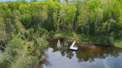 The docks are in and ready for you to enjoy this private - photo 5
