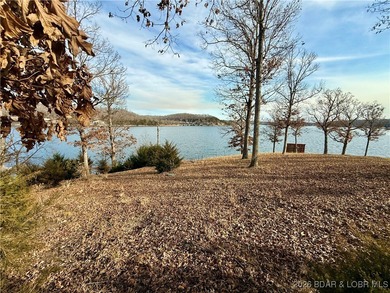 Gravois Arm Lakefront Lot with Seawall, Utilities, Bonus Parking - photo 7