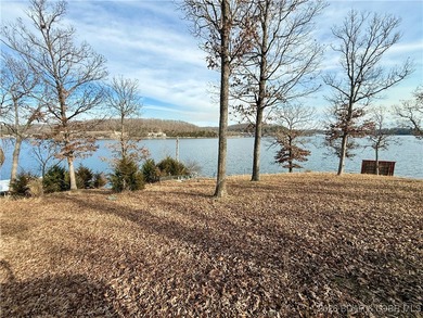 Gravois Arm Lakefront Lot with Seawall, Utilities, Bonus Parking - photo 8
