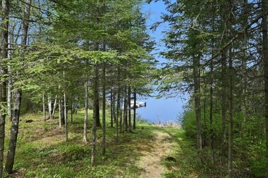 The docks are in and ready for you to enjoy this private - photo 10
