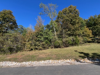 Rough River Lake Lot For Sale in Falls Of Rough Kentucky