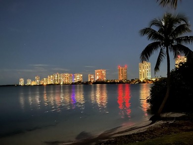 Million Dollar Intracoastal Waterfront View for a Fraction of - photo 14