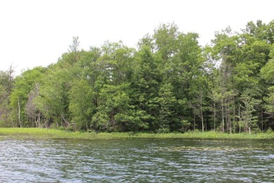 Franklin Lake Acreage For Sale in Minocqua Wisconsin