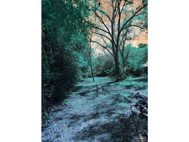 Investor Special with Endless Potential! Opportunity awaits with - photo 4