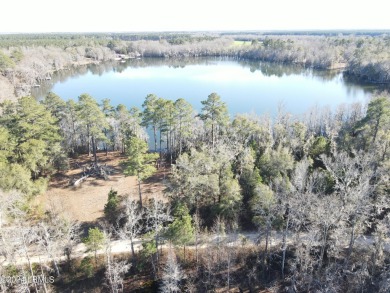 (private lake, pond, creek) Acreage For Sale in Bamberg South Carolina