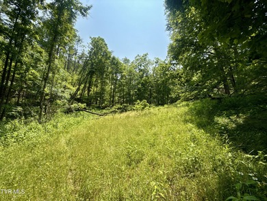Watauga Lake Acreage For Sale in Mountain City Tennessee