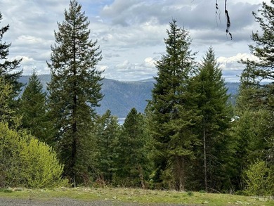 Discover 4 acres of land just minutes from the scenic Clearwater - photo 3