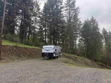 Discover 4 acres of land just minutes from the scenic Clearwater - photo 7