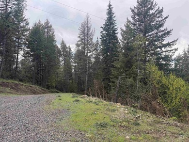 Discover 4 acres of land just minutes from the scenic Clearwater - photo 8