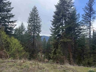 Discover 4 acres of land just minutes from the scenic Clearwater - photo 9