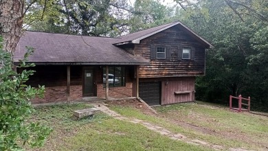 Lake Home For Sale in Carriere, Mississippi