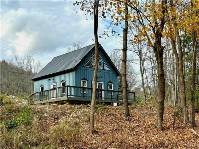 Lake Home For Sale in Cuba, New York