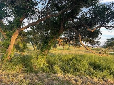 Big Opportunity in Aransas County! Discover 4.28 acres of - photo 14
