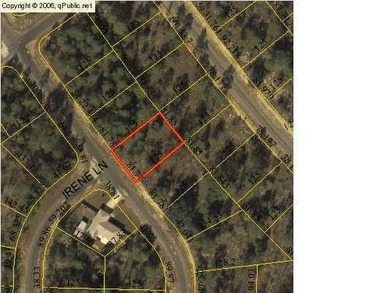 Blue Homestead Lake  Lot For Sale in Chipley Florida