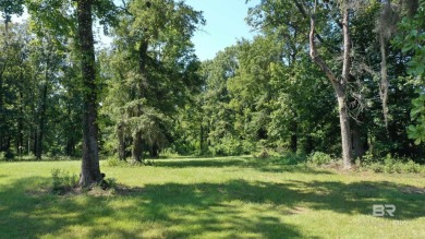 Lake Lot For Sale in Greensboro, Alabama