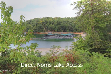 Lot 202 Waterside Ln: This mainly cleared Norris Lakefront lot - Lake Lot For Sale in Lafollette, Tennessee