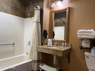 Incredible Investment Opportunity at Wilderness at the Smokies - photo 12