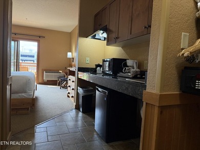 Incredible Investment Opportunity at Wilderness at the Smokies - photo 13