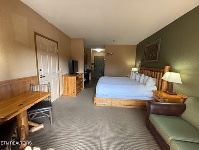 Incredible Investment Opportunity at Wilderness at the Smokies - photo 15