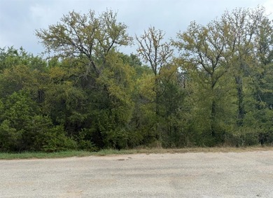 Lake Granbury Lot For Sale in Granbury Texas