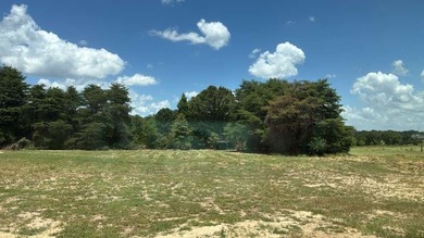 Nestled on 3+ acres just minutes from Lake Athens, this - photo 28