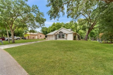 Lake Home Sale Pending in Land O Lakes, Florida