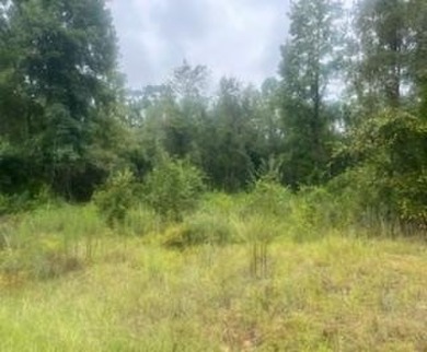 Lake Lot For Sale in Lumberton, Mississippi