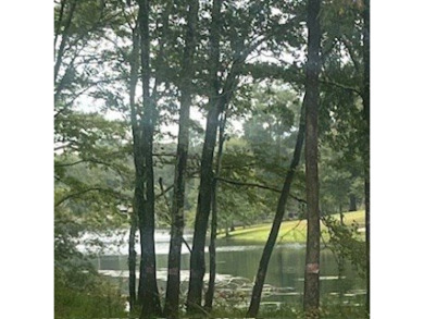 Check out this beautiful lot on the Lake! This lot is in the