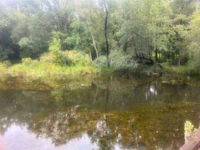 Check out this beautiful lot on the Lake! This lot is in the