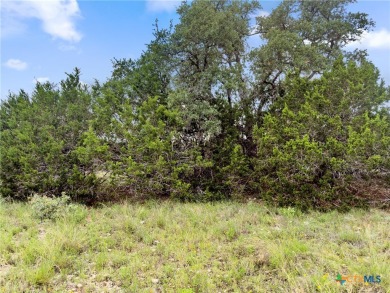 Canyon Lake Acreage For Sale in Spring Branch Texas