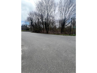 This spacious 1.11-acre level lot is tucked away in a cul-de-sac - photo 4