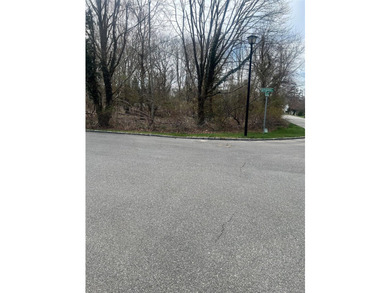 This spacious 1.11-acre level lot is tucked away in a cul-de-sac - photo 5