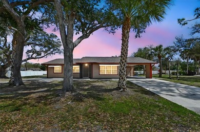 Port Charlotte Waterway Area Home For Sale in Port Charlotte Florida