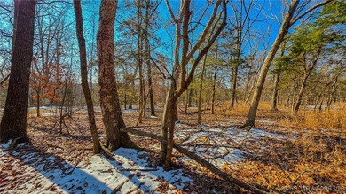 Located in the prestigious Porto Cima community, this 0.52-acre - photo 4
