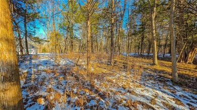 Located in the prestigious Porto Cima community, this 0.52-acre - photo 8