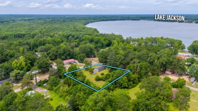 Lake Lot For Sale in Florala, Alabama