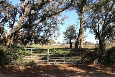 (private lake, pond, creek) Acreage For Sale in Bushnell Florida