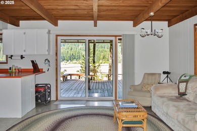 Waterfront Living with a Private Dock & Stunning Views! This - photo 12