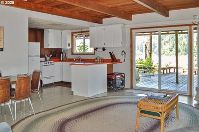 Waterfront Living with a Private Dock & Stunning Views! This - photo 13