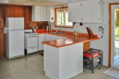 Waterfront Living with a Private Dock & Stunning Views! This - photo 16