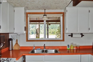 Waterfront Living with a Private Dock & Stunning Views! This - photo 21