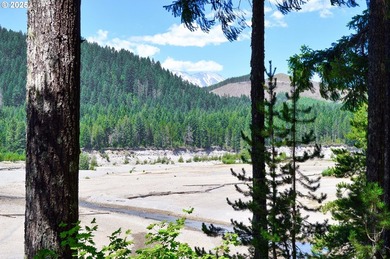 Waterfront Living with a Private Dock & Stunning Views! This - photo 34