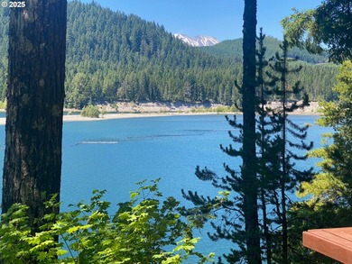Waterfront Living with a Private Dock & Stunning Views! This - photo 36