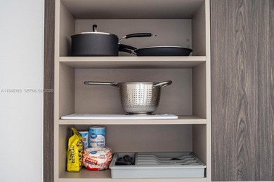 Experience luxury living in the heart of Downtown Miami at