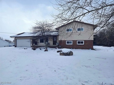 Zora Lake Home For Sale in Bolivar Ohio