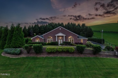 (private lake, pond, creek) Home For Sale in Blountville Tennessee