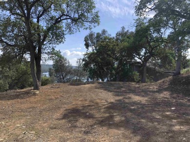 (private lake, pond, creek) Lot For Sale in Copperopolis California